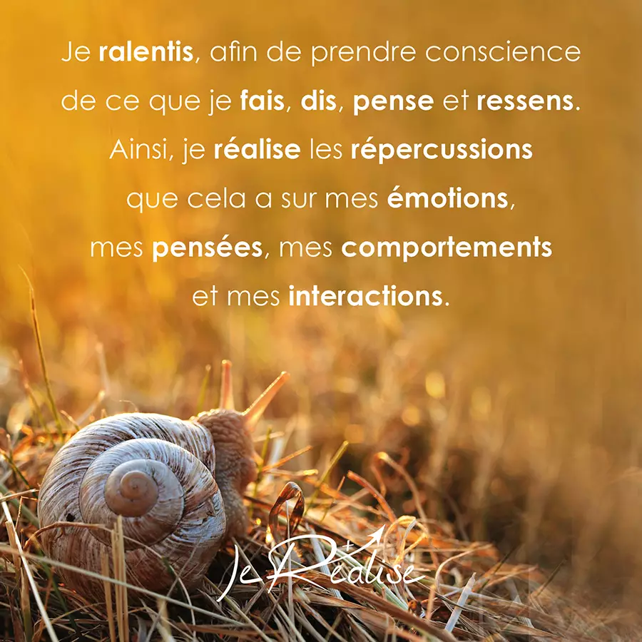 Citation_Je ralentis, afin de prendre conscience de ce que je fais, dis, pense et ressens. Ainsi, je réalise les répercussions que cela a sur mes émotions, mes pensées, mes comportements et mes interactions.