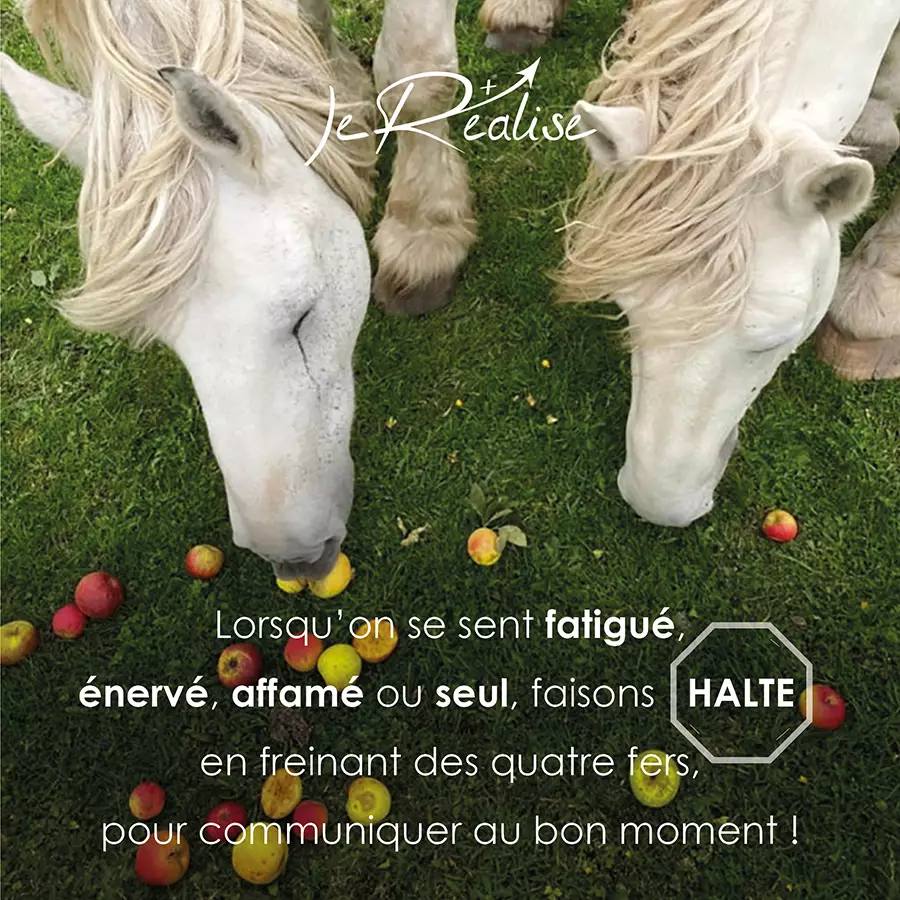 Citation_Lorsqu'on se sent fatigu&eacute;, &eacute;nerv&eacute;, affam&eacute; ou seul, faisons halte en freinant des quatre fers, pour communiquer au bon moment !