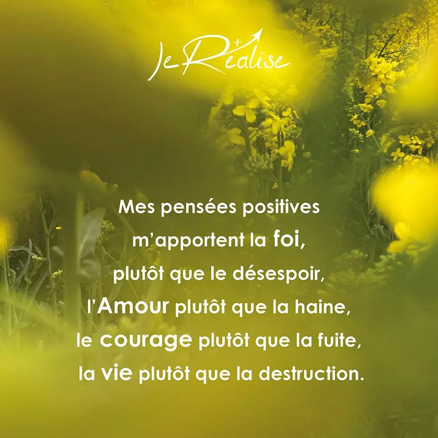 Citation_Mes pens&eacute;es positives m'apportent la foi, plut&ocirc;t que le d&eacute;sespoir, l'Amour plut&ocirc;t que la haine, le courage plut&ocirc;t que la fuite, la vie plut&ocirc;t que la destruction.