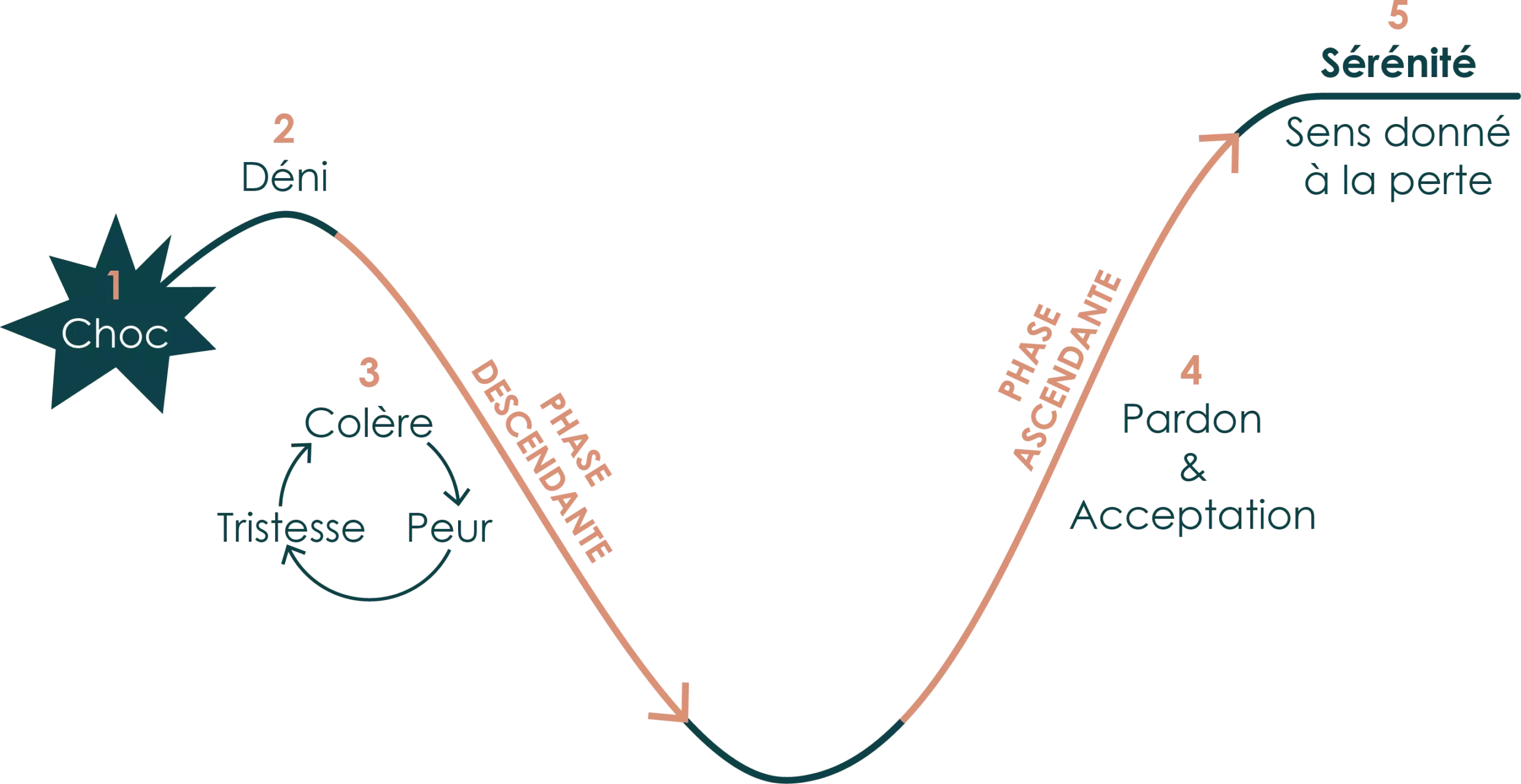 Il s'agit de la courbe du deuil illustrant les différentes étapes et phases de ce processus.